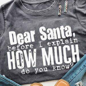 B224 Gray Mineral Washed Christmas Funny Graphic